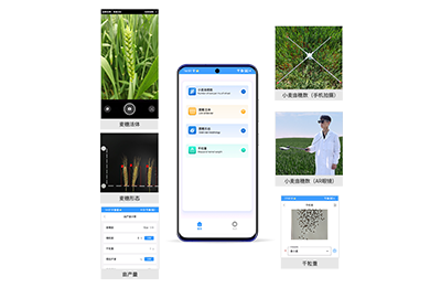 红河哈尼族彝族自治州小麦亩穗数分…